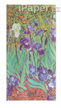 Diář Paperblanks 2025 Van Gogh’s Irises slim horizontální DED5764