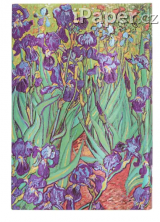 Diář Paperblanks 2025 Van Gogh’s Irises mini horizontální DED5749