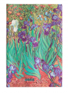 Paperblanks - Diář Paperblanks 2025 Van Gogh’s Irises mini horizontální DED5749